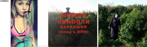 круглые Бронницы