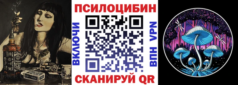 Псилоцибиновые грибы Psilocybine cubensis  Бугульма 